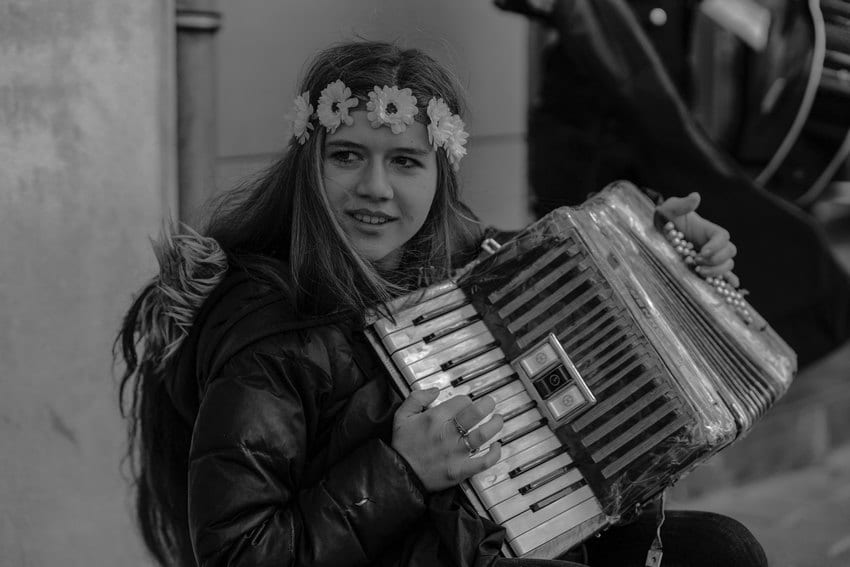 accordions for sale